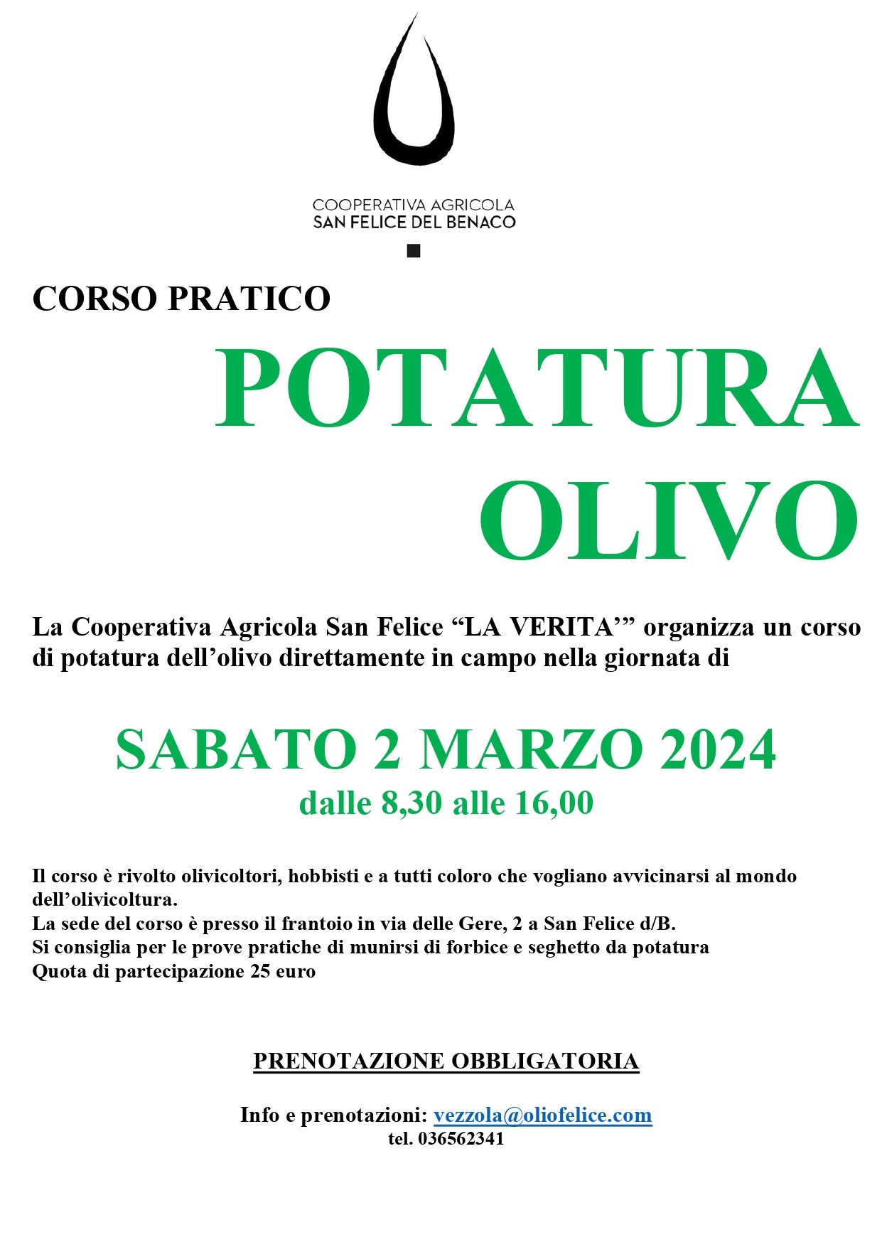 IL CORSO PRATICO DI POTATURA DELL'OLIVO